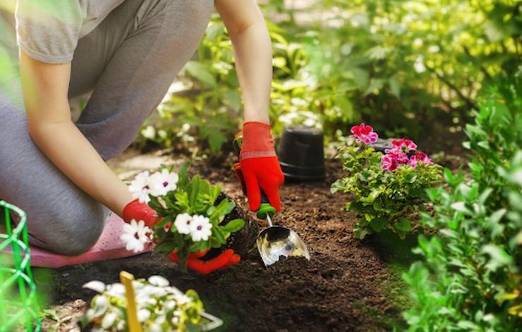 Comment payer un jardinier occasionnel ? – La maison de mariette
